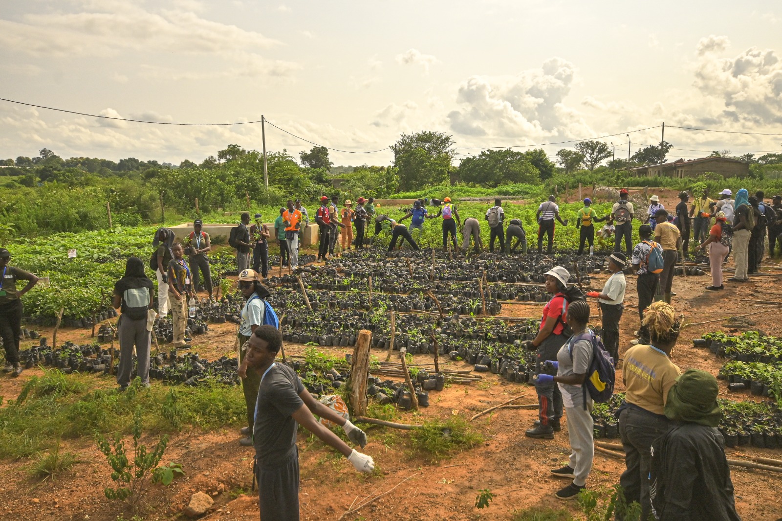 Reboisement à Kani : plus de 35 000 arbres plantés lors du 21ᵉ Camp international de la Fondation Cœur Vert